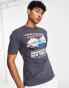 Фото #1 товара Coney Island Picnic import nights t-shirt in grey with chest print