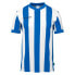 ფოტო #1 პროდუქტის UHLSPORT Retro Stripe short sleeve T-shirt