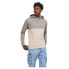 JACK & JONES Eryder Blocking hoodie