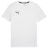 Фото #1 товара Puma Team Goal Casuals Tee M 658615 04