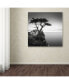 Фото #3 товара Dave MacVicar 'The Lone Cypress' Canvas Art - 18" x 18" x 2"