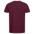LONSDALE Torbay short sleeve T-shirt 2 units