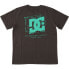 ფოტო #2 პროდუქტის DC Shoes Mid Century short sleeve T-shirt