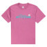 ELEMENT Ridgeline short sleeve T-shirt