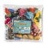 SAFARI LTD Coral Reef Bulk Bag Figure