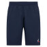 Фото #2 товара LE COQ SPORTIF Training Pocket No 1 Shorts