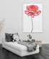 Pink Rose on White Frameless Free Floating Tempered Glass Panel Graphic Wall Art, 48" x 32" x 0.2"
