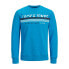 Фото #1 товара JACK & JONES Iron sweatshirt