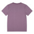 ფოტო #3 პროდუქტის LEVI´S ® KIDS Coastline View short sleeve T-shirt