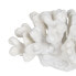 Фото #4 товара Декоративная фигура Белый Коралл 19 x 14 x 11 cm