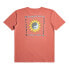 QUIKSILVER Planet Positive short sleeve T-shirt