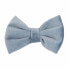 KENTUCKY Velvet Bow Tie Голубой, S - фото #1