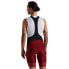 Фото #2 товара SPECIALIZED OUTLET SL R bib shorts