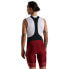 Фото #3 товара SPECIALIZED OUTLET SL R bib shorts