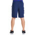 Фото #6 товара Шорты мужские Nike Американская команда мечты AU 768814-455, синие