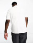 Tommy Jeans Big & Tall stripe logo t-shirt in white