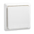 Фото #1 товара Schneider Electric 501604 - White - Thermoplastic - IP20 - 10 A - 80 mm - 80 mm