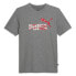 Фото #1 товара Puma Celebration Graphic Crew Neck Short Sleeve T-Shirt Mens Grey Casual Tops 68