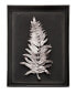 Фото #1 товара Fern Wall Shadow Box