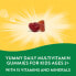 Фото #3 товара Детские витамины NATURE'S WAY Alive! в форме жевательных мишек, вишня, апельсин и виноград, 60 шт.