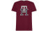 Tommy Hilfiger FW22 LogoT MW0MW28230VLP T-Shirt