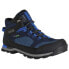 REGATTA Blackthorn Evo Hiking Boots