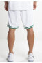 Фото #3 товара NBA Boston Celtics Association Edition Swingman Home 18 Short FW18 Erkek Şort