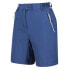 REGATTA Mountain ShortsII Shorts