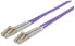 Фото #2 товара Intellinet Fiber Optic Patch Cable - OM4 - LC/LC - 1m - Violet - Duplex - Multimode - 50/125 µm - LSZH - Fibre - Lifetime Warranty - Polybag - 1 m - OM4 - LC - LC