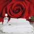 Фото #5 товара Vliestapete Rote Rose mit Wassertropfen