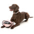 Фото #5 товара Игрушка для собак FUZZYARD ACTIVE Ball Tug Teether
