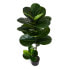 Фото #3 товара Kunstpflanze Ficus 155 cm