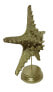 Фото #5 товара Декор и интерьер Moebel17 Скульптура Звезда Золото