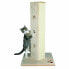 Фото #1 товара Когтеточка для котов Trixie Soria 80 cm Бежевый