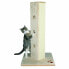 Scratching Post for Cats Trixie Soria 80 cm Beige