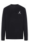 Фото #1 товара Jdb Mj Essentials Çocuk Sweatshirt 95C578-023