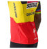 CASTELLI Competizione 3 Soudal Quick-Step Belgian Champion 2024 short sleeve jersey