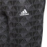 Sport leggings for Women Adidas Essentials Logo Grey