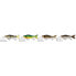 WESTIN Ricky The Roach Glidebait 7g 80 mm