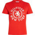 ფოტო #3 პროდუქტის TOMMY HILFIGER Crest C-Nk Ss short sleeve T-shirt