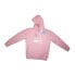 Фото #1 товара RC CELTA Hoodie