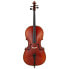 Фото #2 товара Walter Mahr Cello Stradivari Spruce 4/4