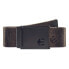 ETNIES Icon Web Belt