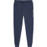 TOMMY JEANS Reg Linear sweat pants