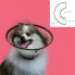 Фото #2 товара Ошейник для собак Isabelino KVP Saf-T-Clear Прозрачный (25-38 cm)