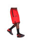 Фото #2 товара Chicago Bulls Dri-Fit NBA Erkek Kırmızı Basketbol Şortu DN9132-657