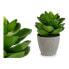 Фото #1 товара Декоративное растение Серый 16 x 21 x 16 cm Зеленый Пластик