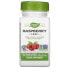 Raspberry Leaf, 640 mg, 100 Vegan Capsules (320 mg Per Capsule)