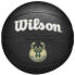 Фото #1 товара Wilson Team Tribute Milwaukee Bucks Mini Ball WZ4017606XB basketball