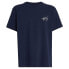 ფოტო #3 პროდუქტის TOMMY JEANS Reg Signature Ext short sleeve T-shirt